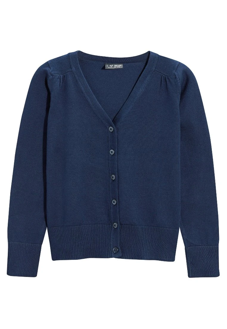 Next Vest - Blue 1 Next Vest - Blue