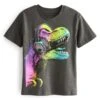 Next Short Sleeve Graphic Standard - T-Shirt Print - Grey Rainbow Dino
