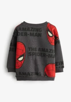 Next Spiderman Long Sleeves Standard - Sweater - Charcoal Grey -Next 9576b607718440fb8b6860f5a5fcd6c8