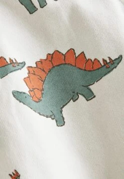 Next 2 Piece Dino Set - Body - Green 13 Next 2 Piece Dino Set - Body - Green -Next a8155ba5ba7e46a79d6bbe5010b9cccb