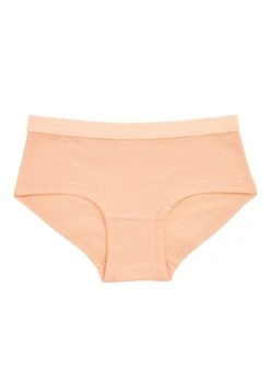 Next 10 Pack Hipster- Slip - Pink Yellow Blue 18 Next 10 Pack Hipster- Slip - Pink Yellow Blue -Next b88a9ac8227e4102b87621874dfeaaa2