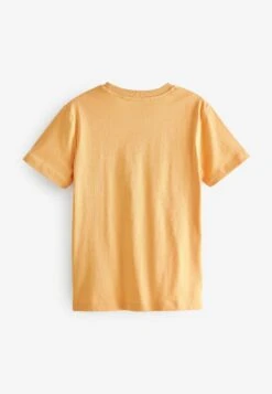 Next Minions Short Sleeve Standard - T-Shirt Print - Peach Orange -Next d72d39afbde0469dbf36f37bf1b18ed5